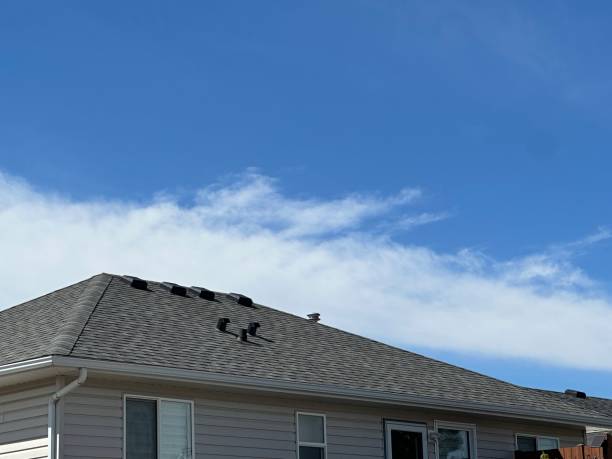 Best Solar Panel Roofing Installation  in Pioneer Village, KY